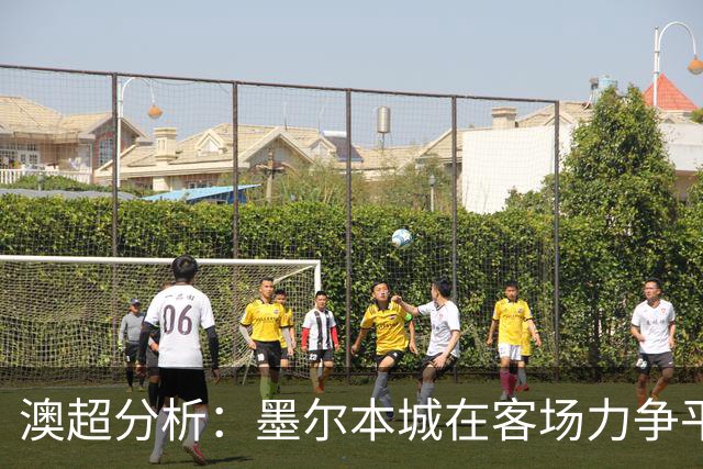 澳超分析：墨尔本城在客场力争平局